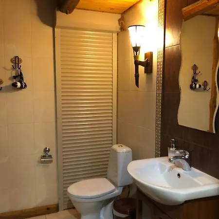 Шале Sofiya Микуличин