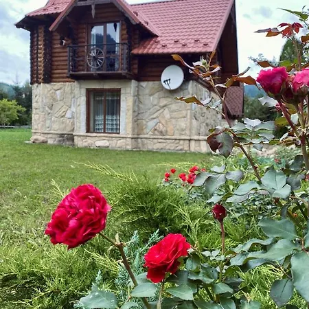 Sofiya Микуличин